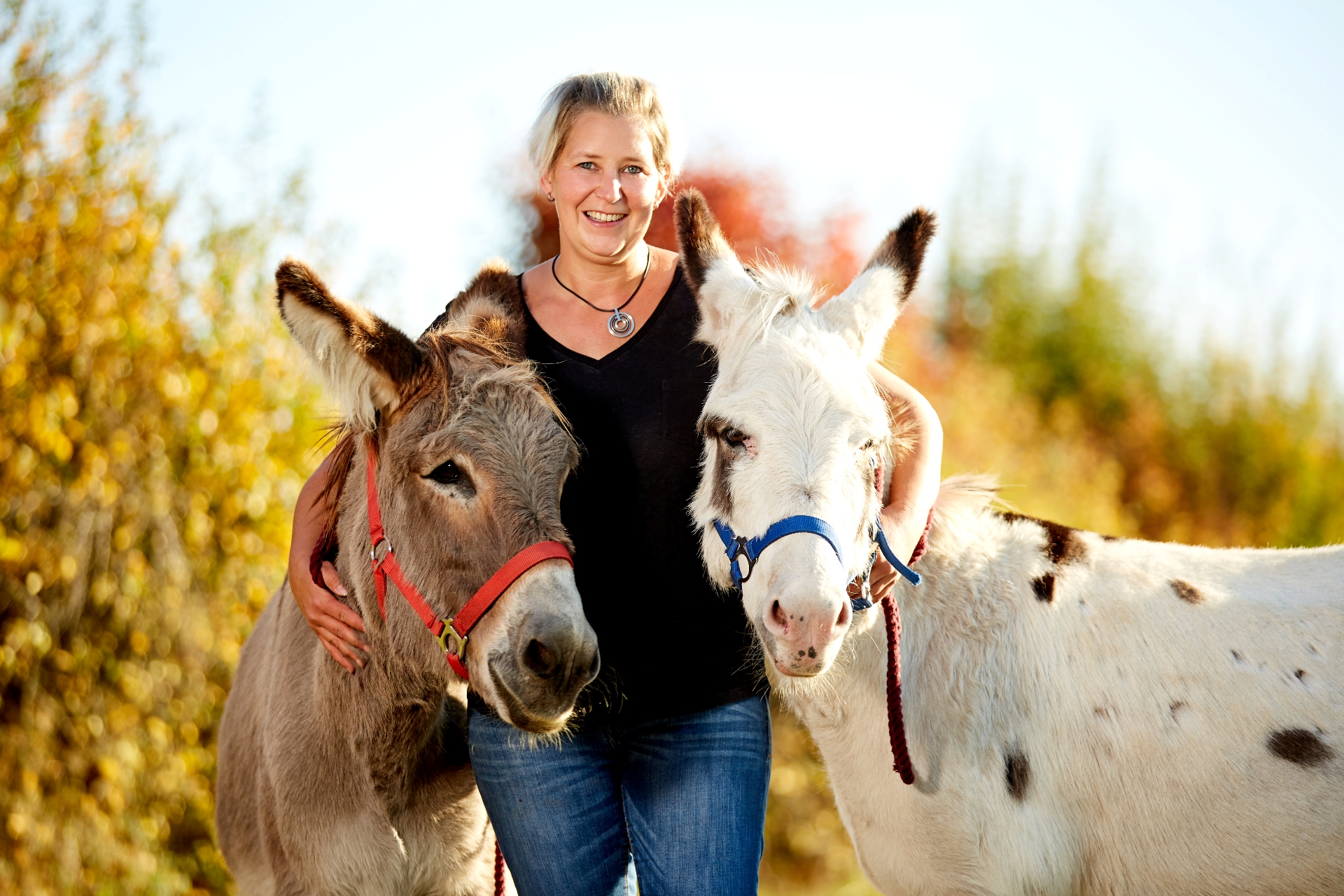 Trekkingtouren in der Eifel mit Ennekken