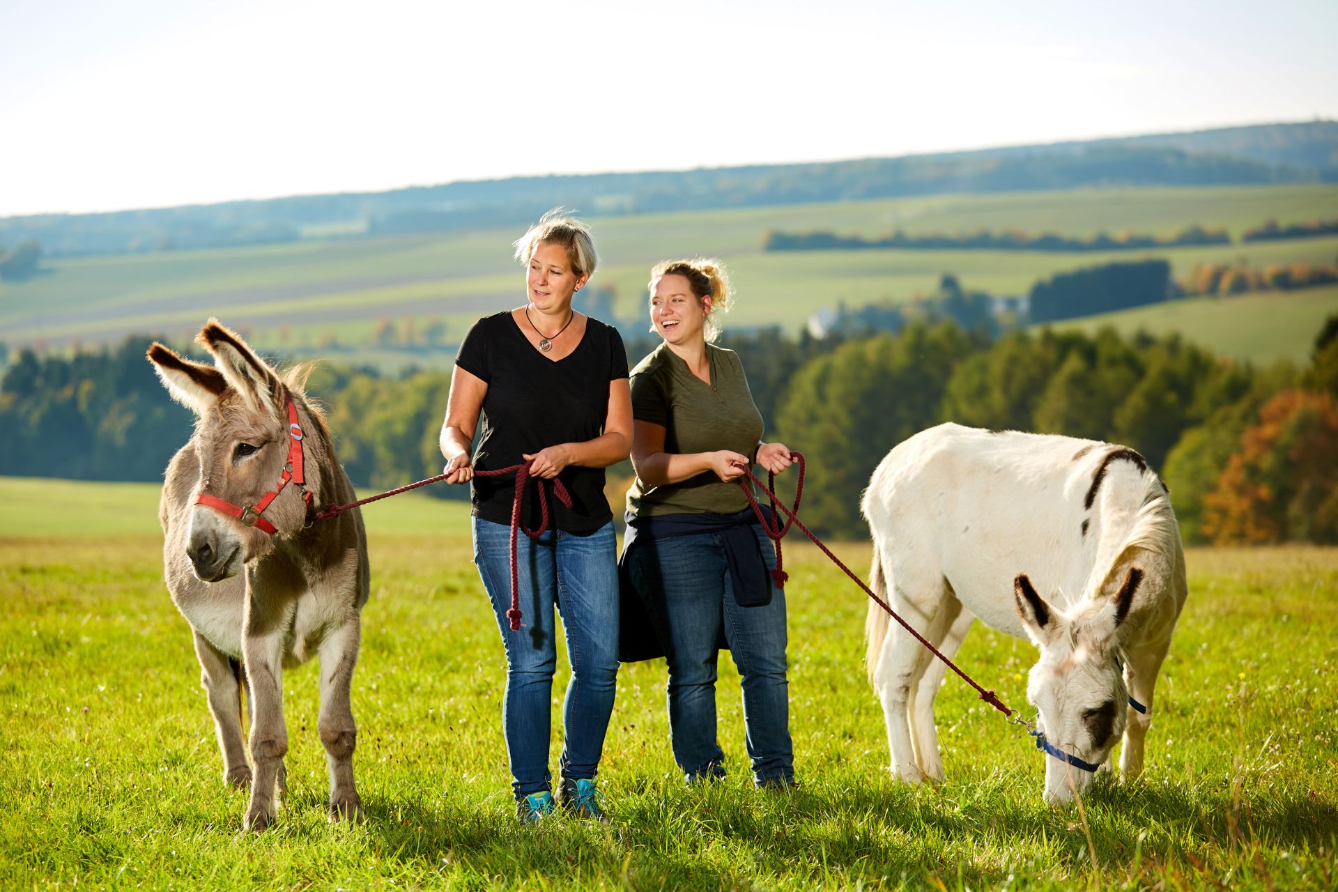 Trekkingtouren in der Eifel mit Ennekken und mit Führung